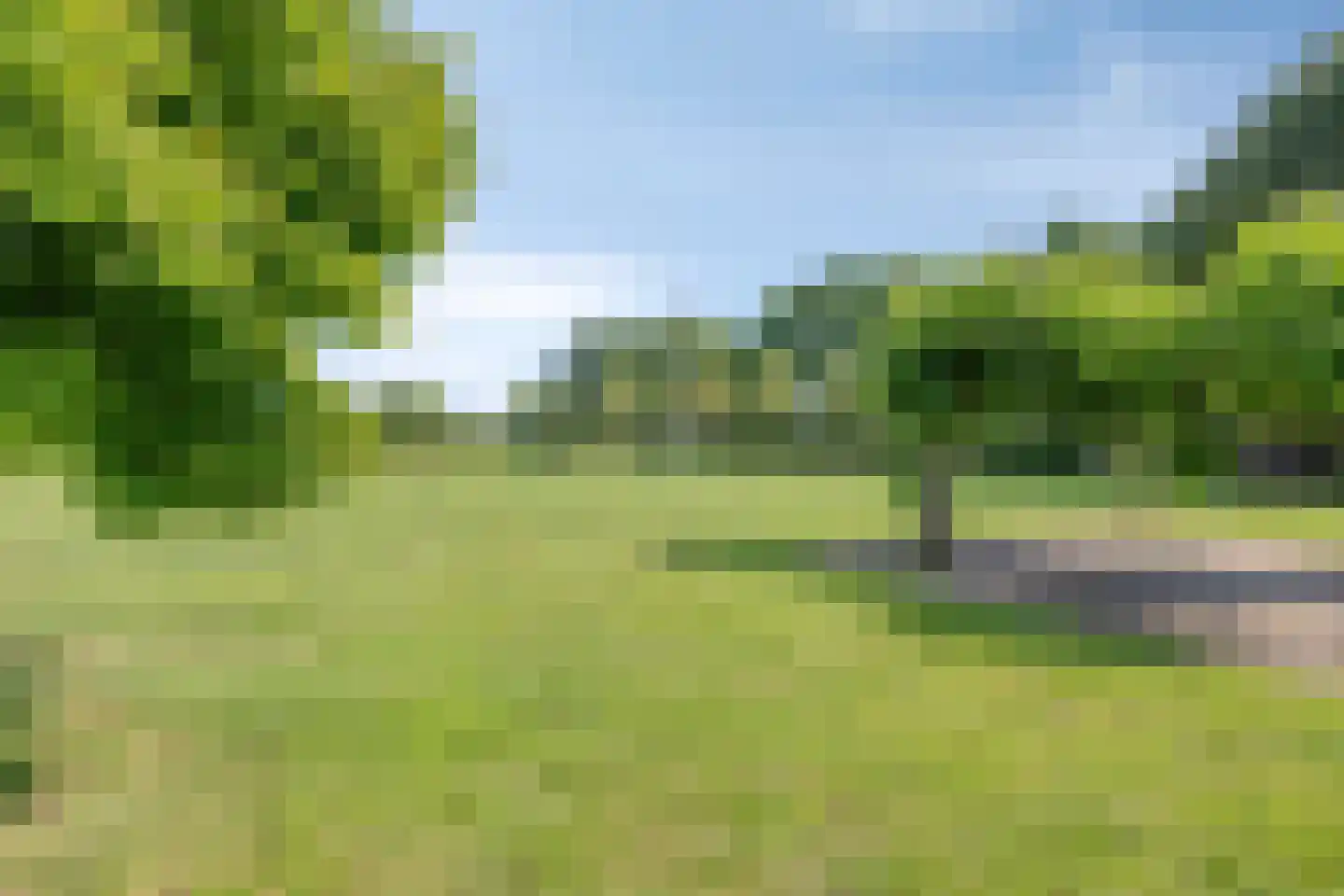 Vijverbroekstraat 33 Neeritter thumbnail 27