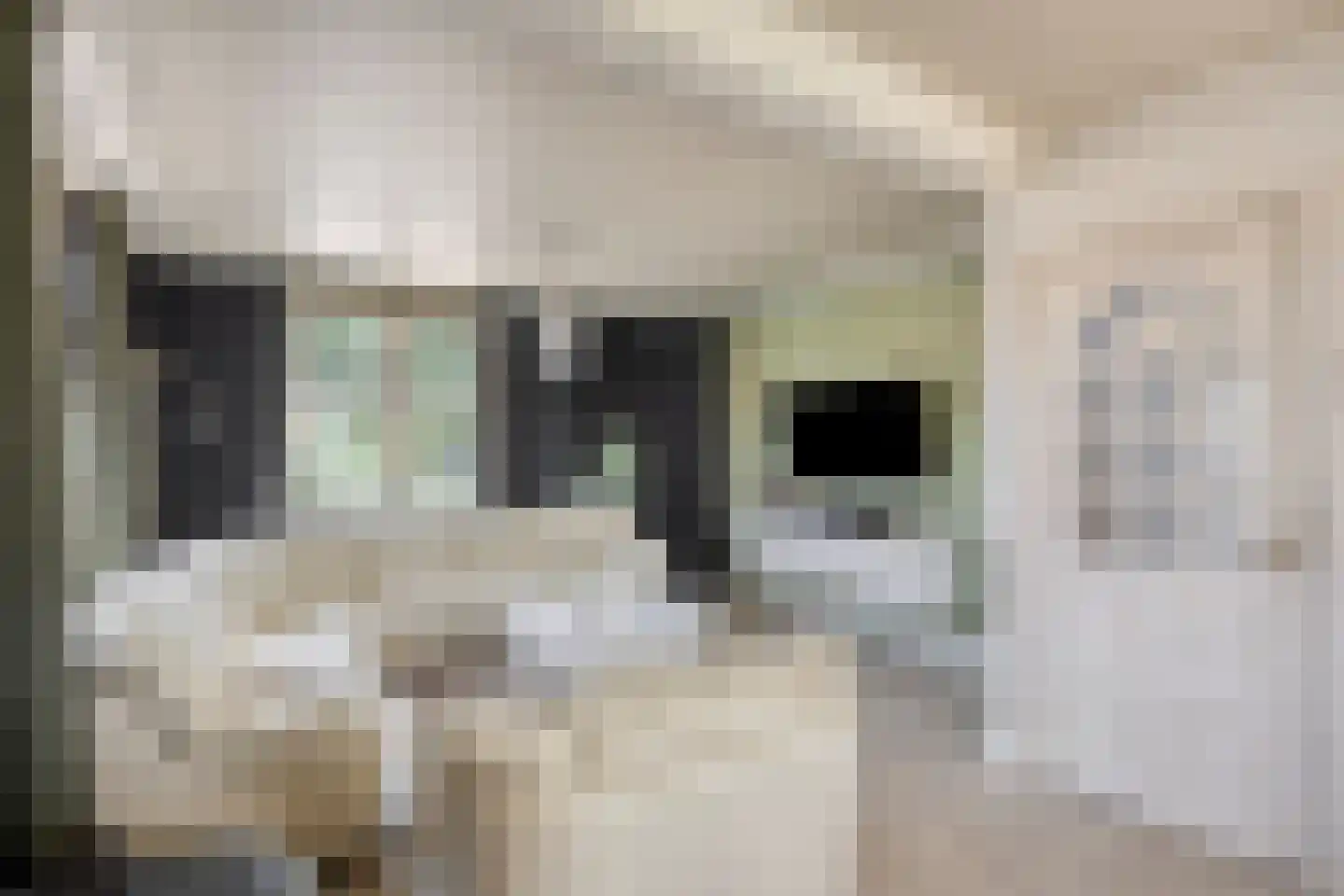 Vijverbroekstraat 33 Neeritter thumbnail 4