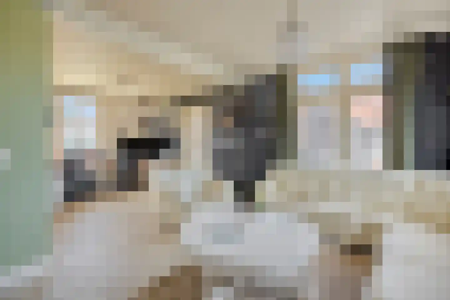 Vijverbroekstraat 33 Neeritter thumbnail 5