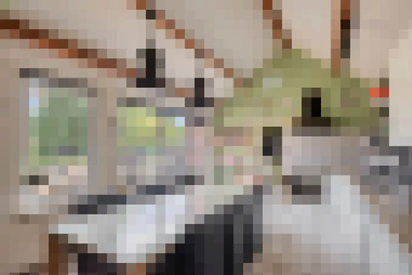 Vijverbroekstraat 33 Neeritter thumbnail 7