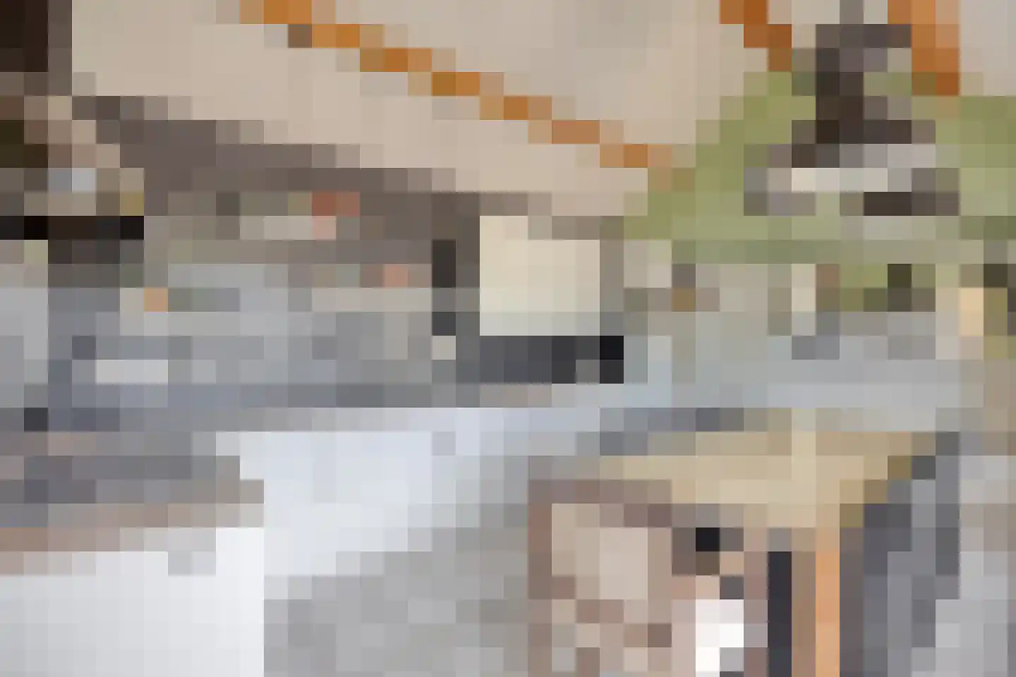 Vijverbroekstraat 33 Neeritter thumbnail 8