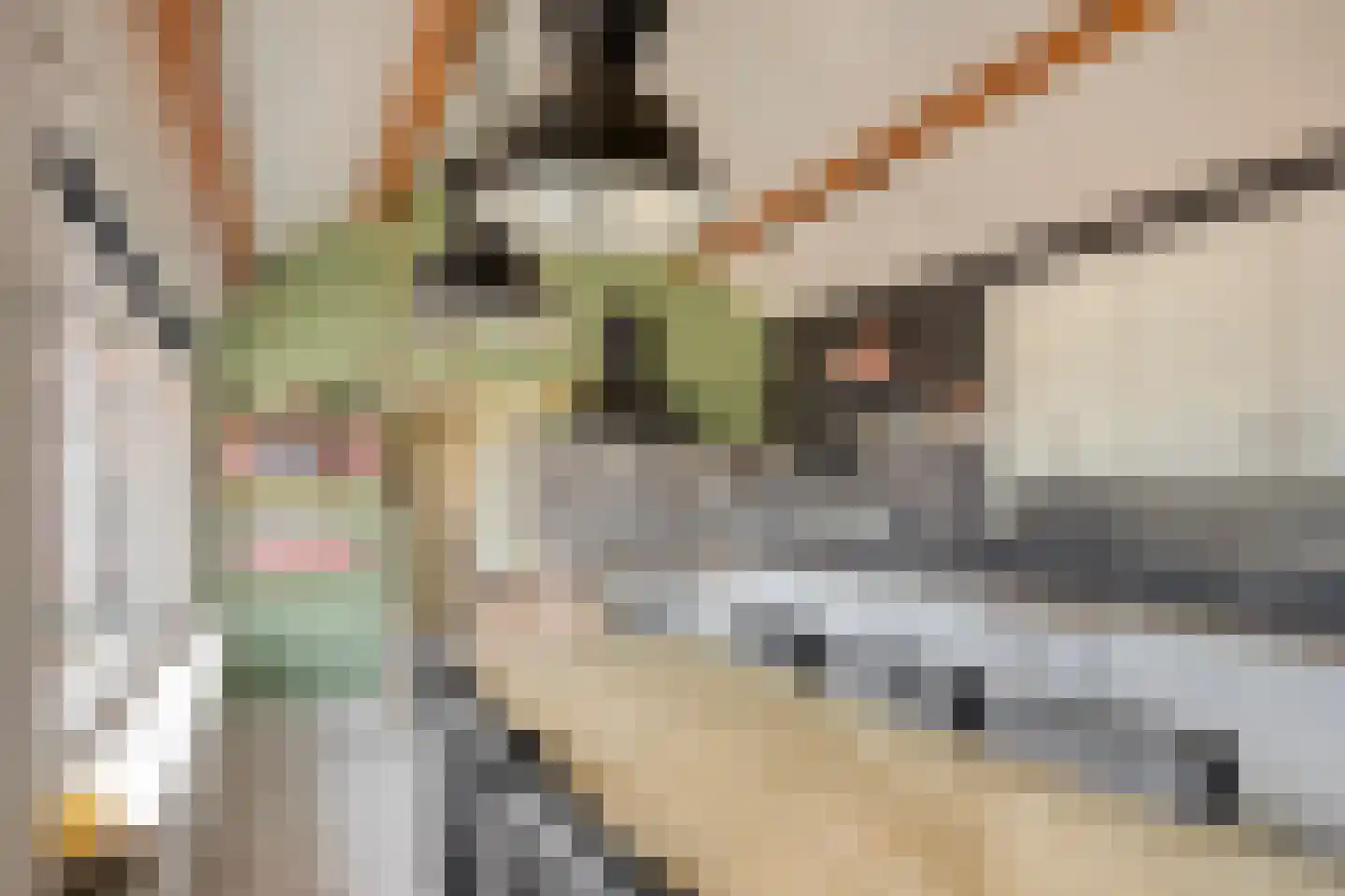 Vijverbroekstraat 33 Neeritter thumbnail 9