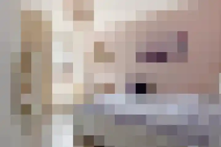 Vijverdreef 202 Zoetermeer thumbnail 16