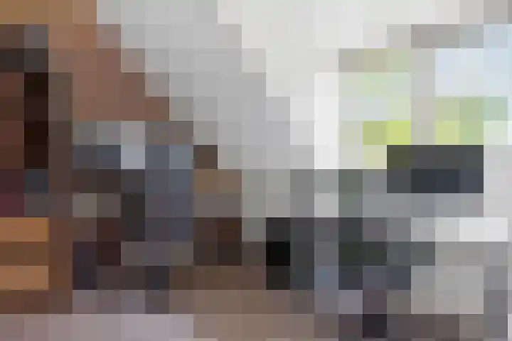 Vijverdreef 202 Zoetermeer thumbnail 22