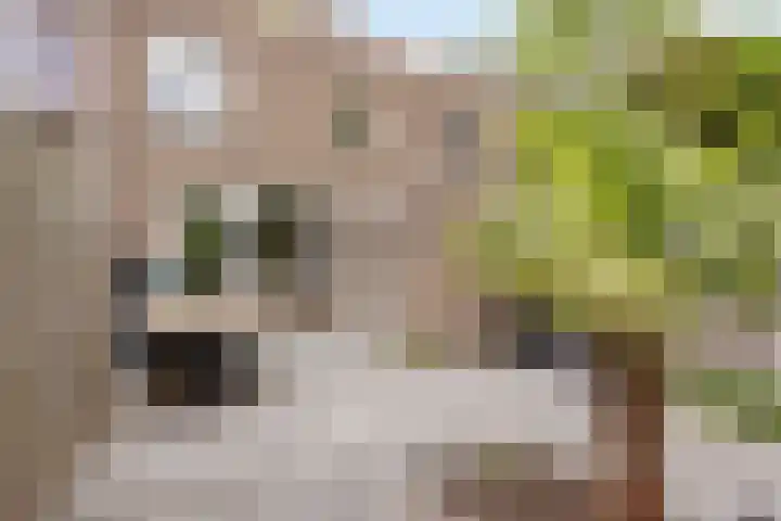 Vijverdreef 202 Zoetermeer thumbnail 28