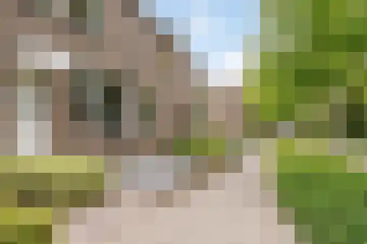 Vijverdreef 202 Zoetermeer thumbnail 29