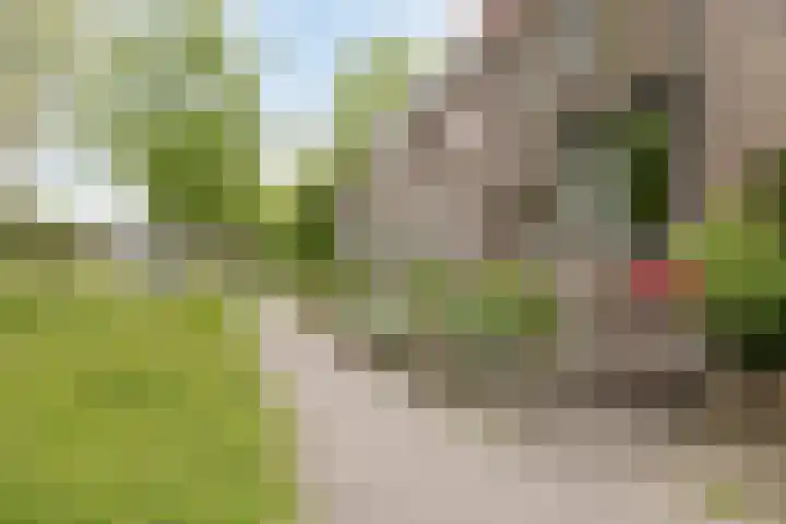 Vijverdreef 202 Zoetermeer thumbnail 30