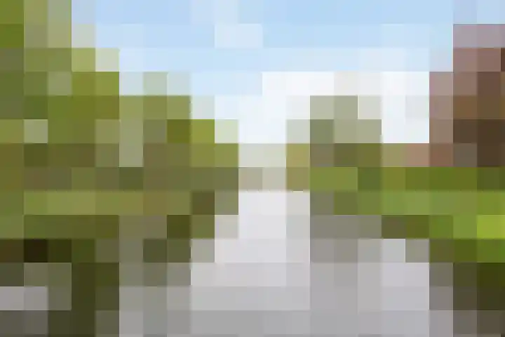 Vijverdreef 202 Zoetermeer thumbnail 32