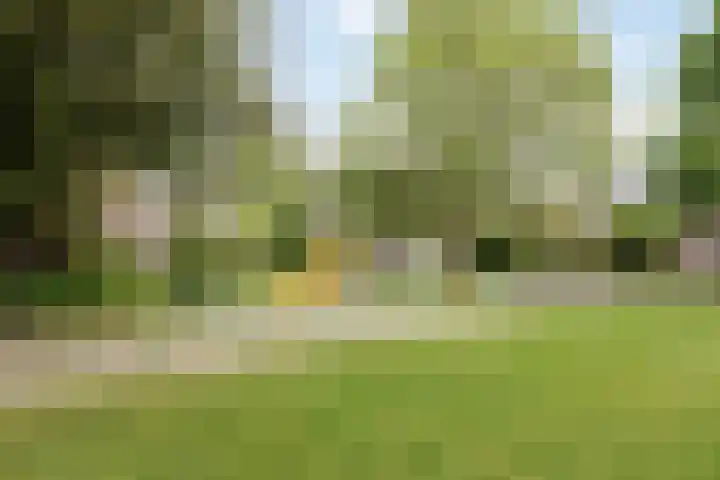 Vijverdreef 202 Zoetermeer thumbnail 33