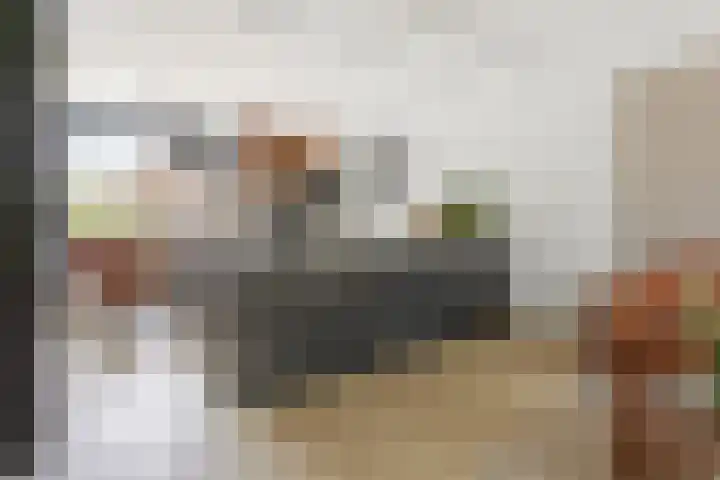 Vijverdreef 202 Zoetermeer thumbnail 8