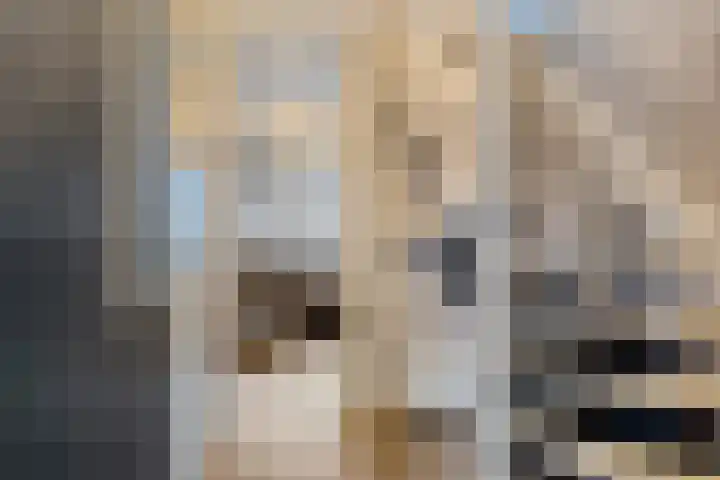 Vijverdreef 244 Zoetermeer thumbnail 14