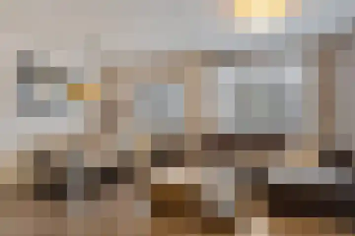 Vijverdreef 244 Zoetermeer thumbnail 16