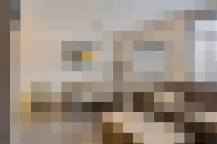 Vijverdreef 244 Zoetermeer thumbnail 17