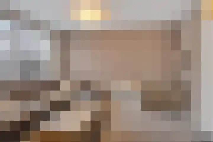 Vijverdreef 244 Zoetermeer thumbnail 18