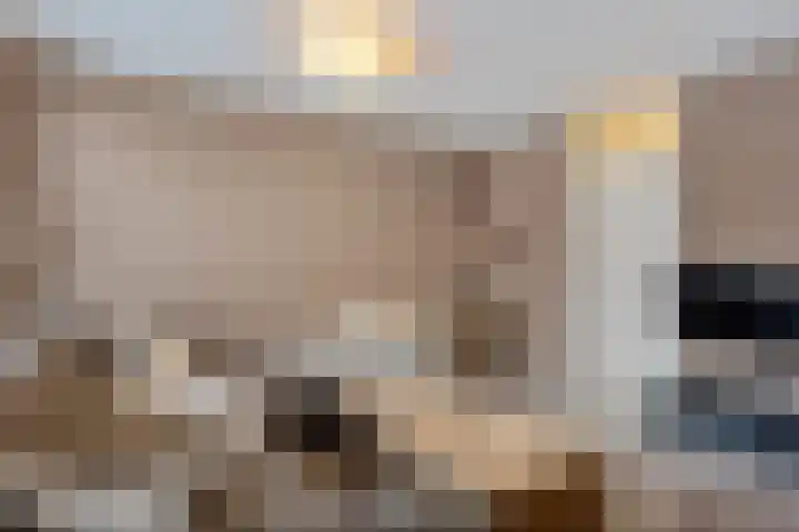 Vijverdreef 244 Zoetermeer thumbnail 20