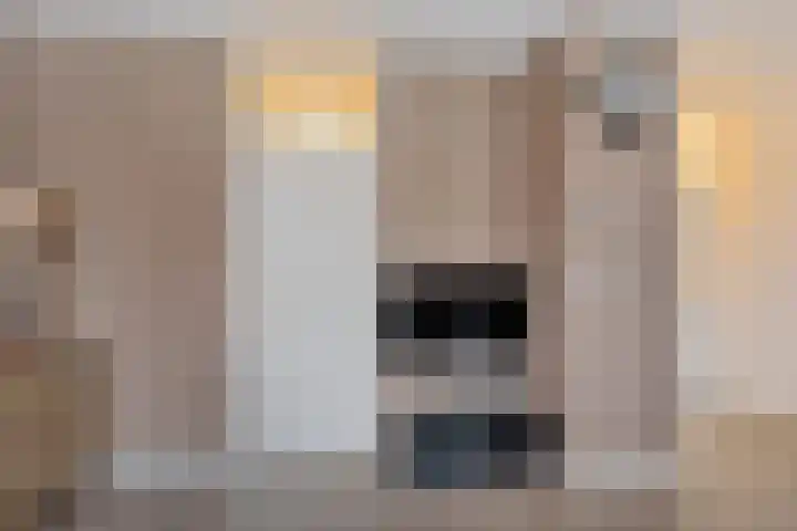 Vijverdreef 244 Zoetermeer thumbnail 21