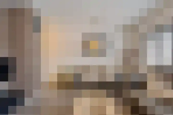Vijverdreef 244 Zoetermeer thumbnail 22