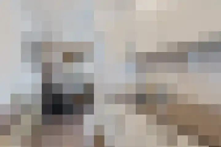 Vijverdreef 244 Zoetermeer thumbnail 26