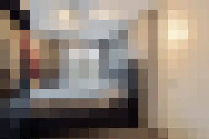 Vijverdreef 244 Zoetermeer thumbnail 30