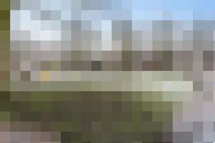 Vijverdreef 244 Zoetermeer thumbnail 39