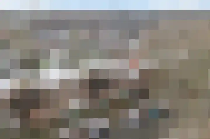 Vijverdreef 244 Zoetermeer thumbnail 6