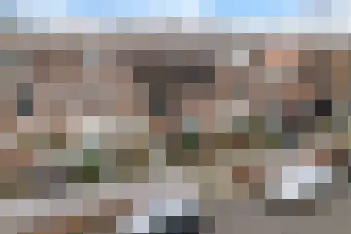 Vijverdreef 244 Zoetermeer thumbnail 7