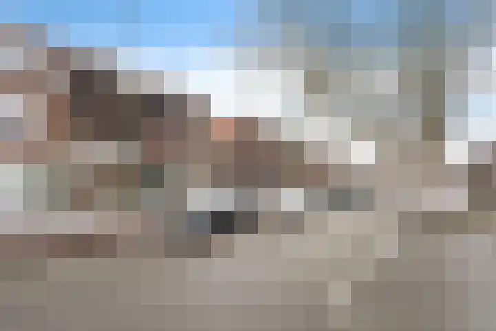 Vijverdreef 244 Zoetermeer thumbnail 8