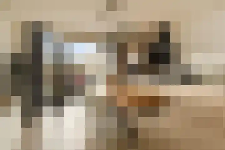 Vijverdreef 263 Zoetermeer thumbnail 11