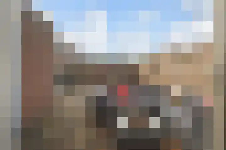 Vijverdreef 263 Zoetermeer thumbnail 12