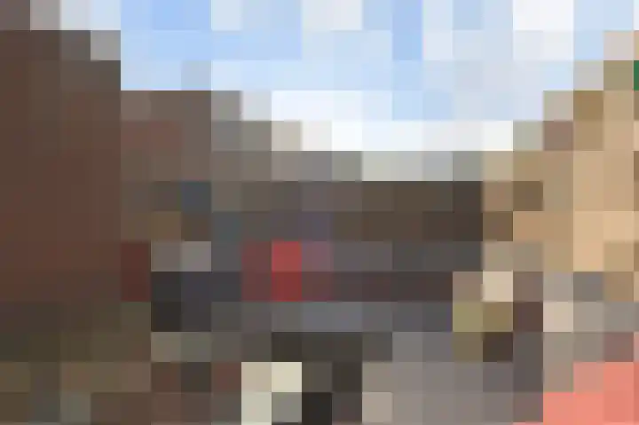 Vijverdreef 263 Zoetermeer thumbnail 13