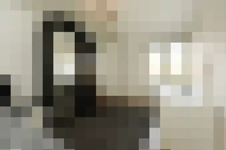 Vijverdreef 263 Zoetermeer thumbnail 23