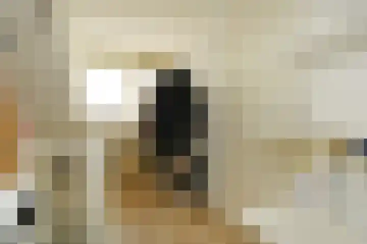 Vijverdreef 263 Zoetermeer thumbnail 31