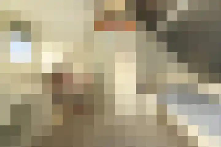 Vijverdreef 263 Zoetermeer thumbnail 33