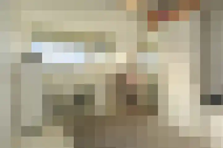 Vijverdreef 263 Zoetermeer thumbnail 34