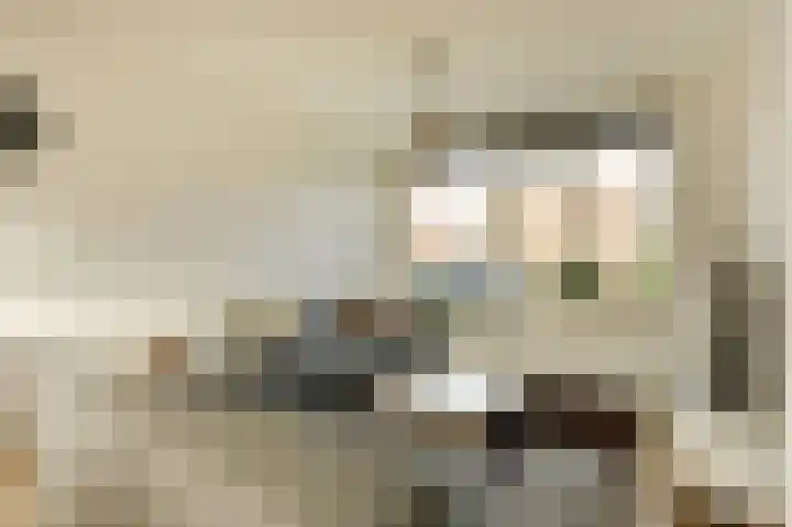 Vijverdreef 263 Zoetermeer thumbnail 8