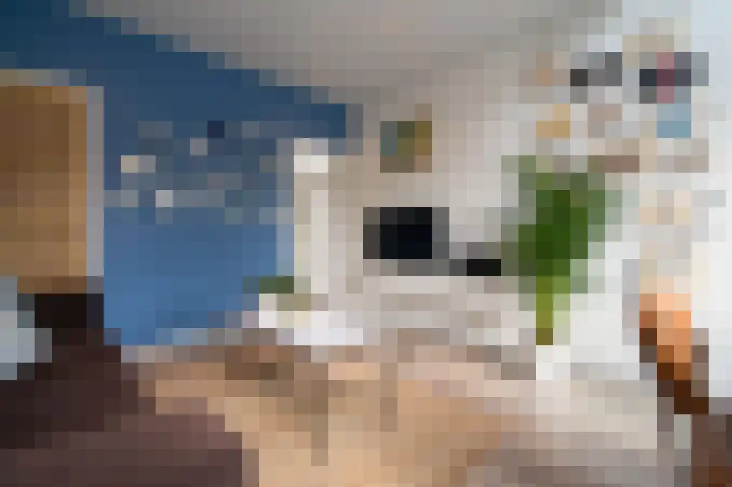 Vijverdwarsstraat 13 Yerseke thumbnail 5