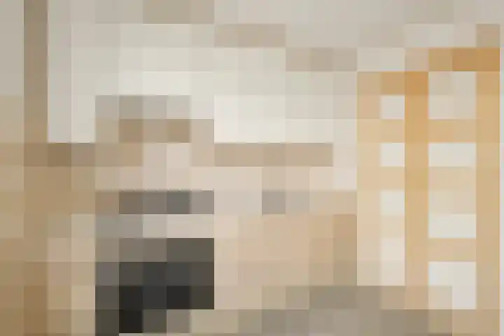 Vijverdwarsstraat 7 Yerseke thumbnail 13