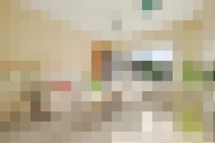 Vijverdwarsstraat 7 Yerseke thumbnail 8