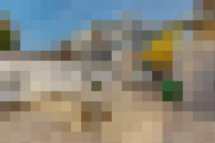 Vijverhoef 50 Amsterdam thumbnail 11