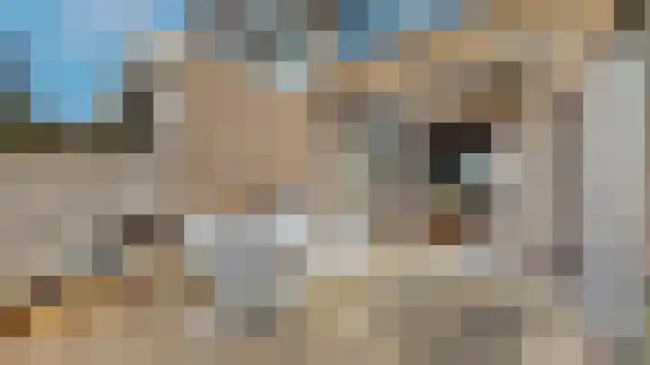 Vijverhoef 50 Amsterdam thumbnail 12
