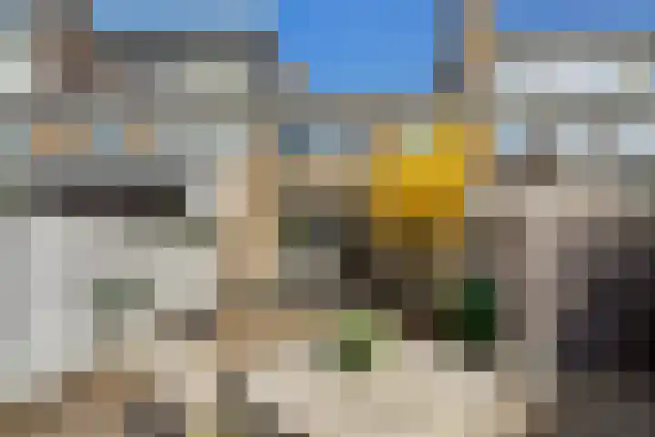 Vijverhoef 50 Amsterdam thumbnail 13