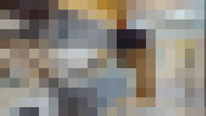 Vijverhoef 50 Amsterdam thumbnail 15