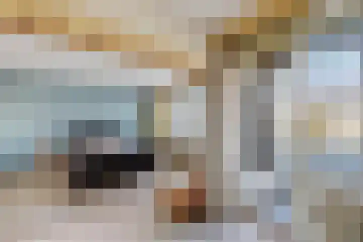 Vijverhoef 50 Amsterdam thumbnail 18