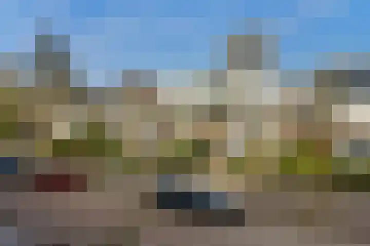 Vijverhoef 50 Amsterdam thumbnail 19