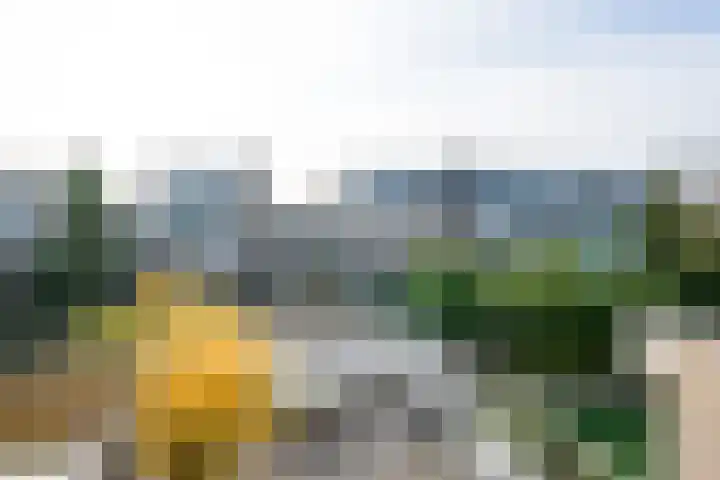 Vijverhoef 50 Amsterdam thumbnail 25