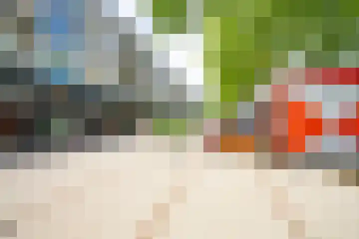 Vijverhoef 50 Amsterdam thumbnail 26