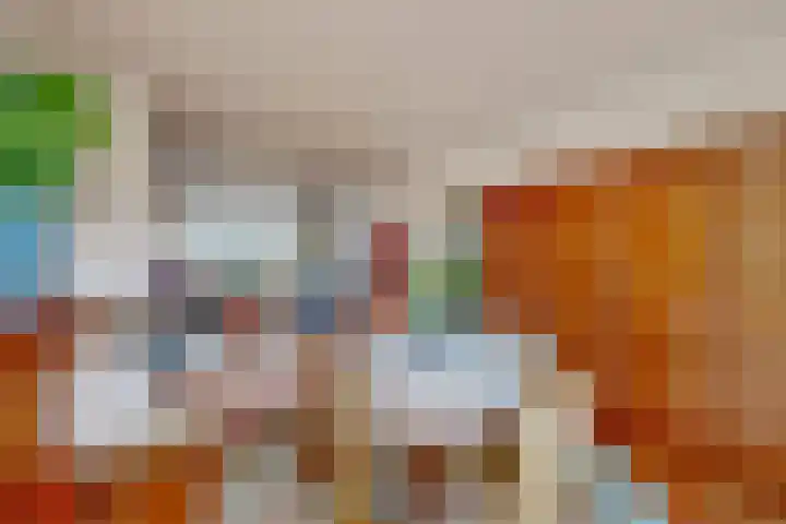 Vijverhoef 50 Amsterdam thumbnail 6