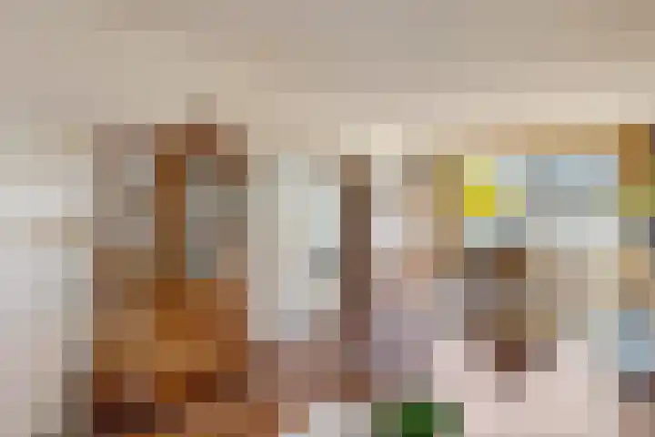 Vijverhoef 50 Amsterdam thumbnail 8