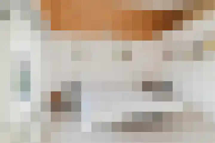 Vijverhoef 9 Eindhoven thumbnail 20