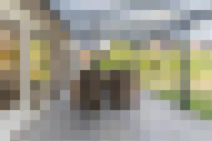 Vijverhoef 9 Eindhoven thumbnail 25